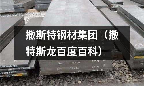 撒斯特鋼材集團（撒特斯龍百度百科）