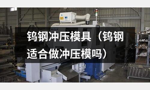 鎢鋼沖壓模具（鎢鋼適合做沖壓模嗎）