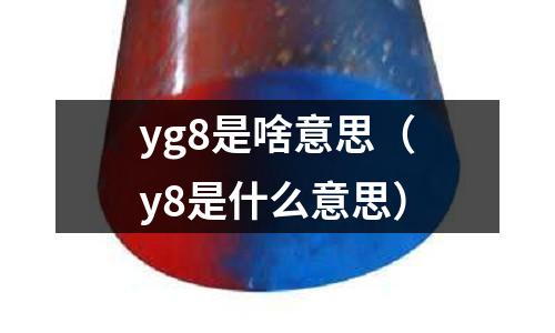 yg8是啥意思（y8是什么意思）