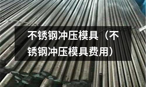 不銹鋼沖壓模具(不銹鋼沖壓模具費用)