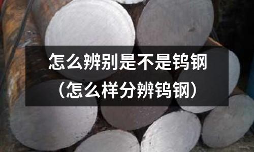 怎么辨別是不是鎢鋼（怎么樣分辨鎢鋼）