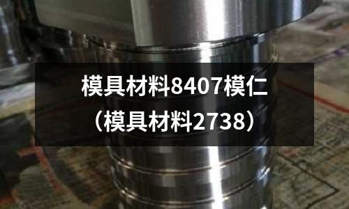 模具材料8407模仁（模具材料2738）