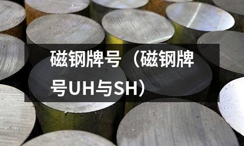 磁鋼牌號(磁鋼牌號UH與SH)