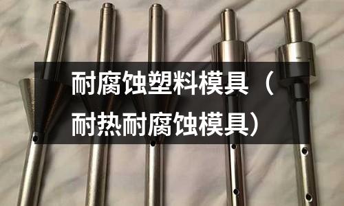 耐腐蝕塑料模具（耐熱耐腐蝕模具）