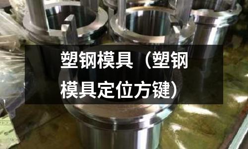 塑鋼模具(塑鋼模具定位方鍵)