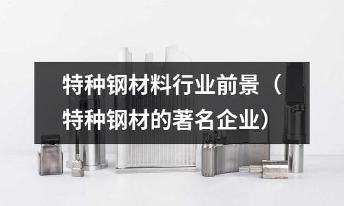 特種鋼材料行業前景（特種鋼材的著名企業）