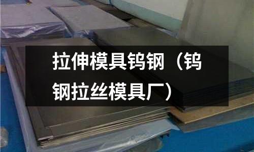 拉伸模具鎢鋼（鎢鋼拉絲模具廠）