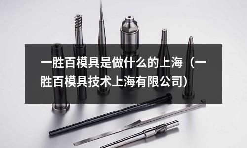 一勝百模具是做什么的上海（一勝百模具技術(shù)上海有限公司）