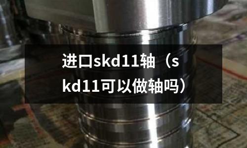 進口skd11軸(skd11可以做軸嗎)