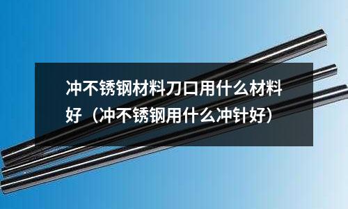 沖不銹鋼材料刀口用什么材料好(沖不銹鋼用什么沖針好)