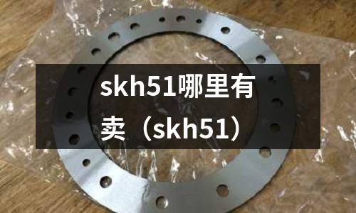 skh51哪里有賣(skh51)