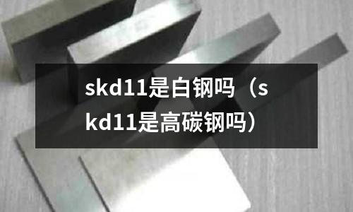 skd11是白鋼嗎（skd11是高碳鋼嗎）