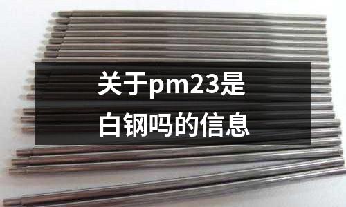 關于pm23是白鋼嗎的信息
