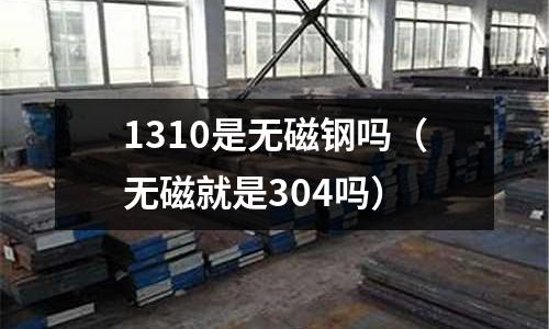 1310是無磁鋼嗎（無磁就是304嗎）