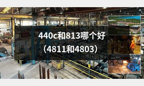 440c和813哪個好（4811和4803）