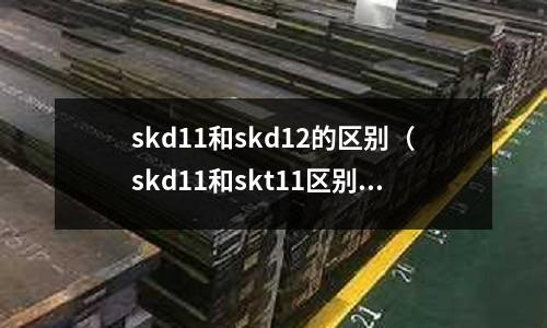 skd11和skd12的區別（skd11和skt11區別）
