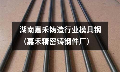 湖南嘉禾鑄造行業模具鋼（嘉禾精密鑄鋼件廠）