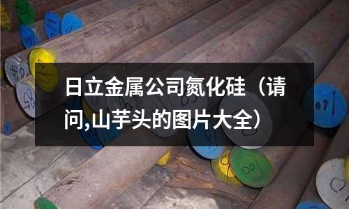 日立金屬公司氮化硅(請問,山芋頭的圖片大全)