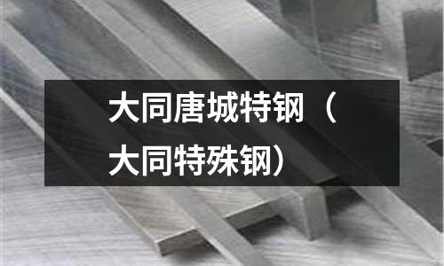 大同唐城特鋼（大同特殊鋼）