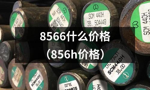 8566什么價格（856h價格）