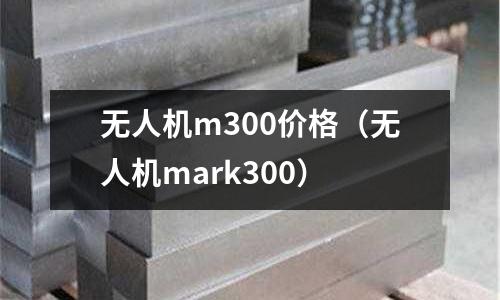 無(wú)人機(jī)m300價(jià)格（無(wú)人機(jī)mark300）