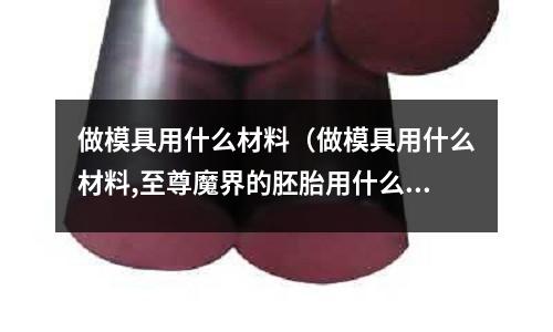 做模具用什么材料（做模具用什么材料,至尊魔界的胚胎用什么材料）