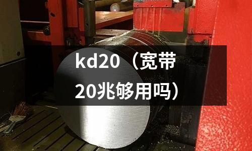 kd20（寬帶20兆夠用嗎）