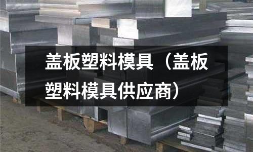 蓋板塑料模具(蓋板塑料模具供應商)