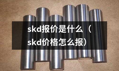 skd報價是什么(skd價格怎么報)