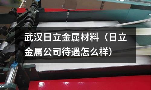 武漢日立金屬材料（日立金屬公司待遇怎么樣）