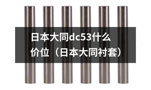 日本大同dc53什么價位（日本大同襯套）