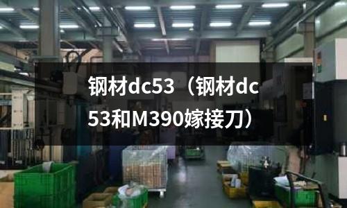 鋼材dc53（鋼材dc53和M390嫁接刀）