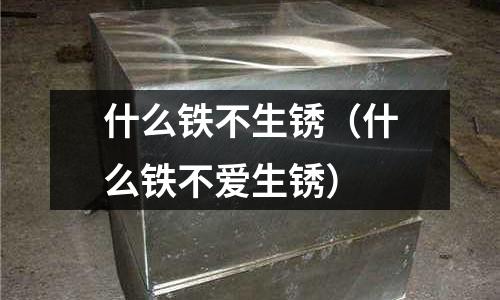 什么鐵不生銹（什么鐵不愛生銹）