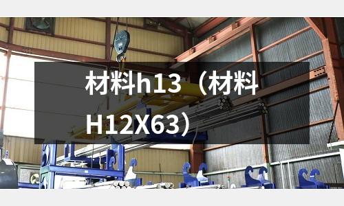 材料h13(材料H12X63)
