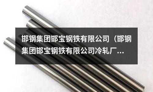 邯鋼集團邯寶鋼鐵有限公司（邯鋼集團邯寶鋼鐵有限公司冷軋廠 廠長）