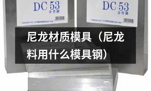 尼龍材質模具(尼龍料用什么模具鋼)