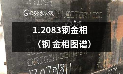 1.2083鋼金相(鋼 金相圖譜)
