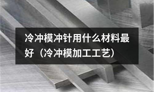 冷沖模沖針用什么材料最好（冷沖模加工工藝）