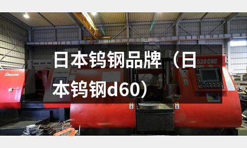 日本鎢鋼品牌（日本鎢鋼d60）