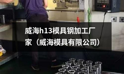 威海h13模具鋼加工廠家（威海模具有限公司）