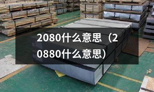 2080什么意思（20880什么意思）