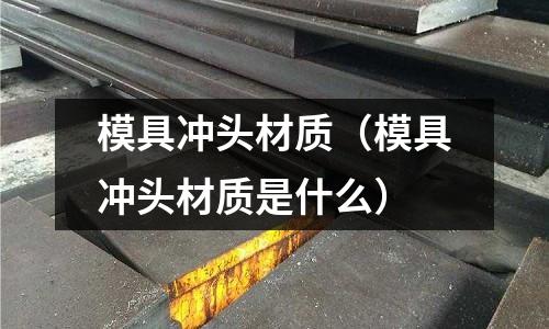 模具沖頭材質(zhì)（模具沖頭材質(zhì)是什么）