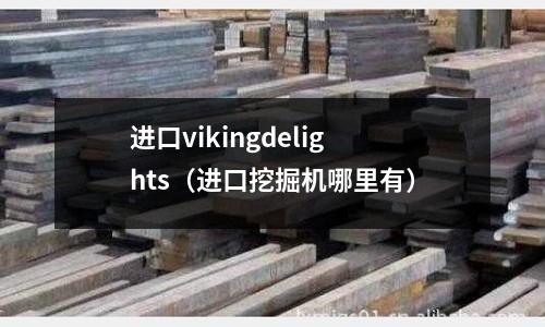 進口vikingdelights（進口挖掘機哪里有）