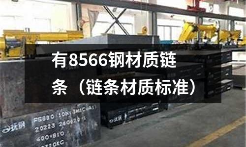 有8566鋼材質鏈條（鏈條材質標準）