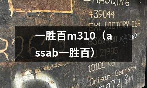 一勝百m310（assab一勝百）