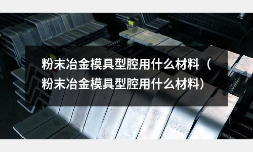 粉末冶金模具型腔用什么材料（粉末冶金模具型腔用什么材料）