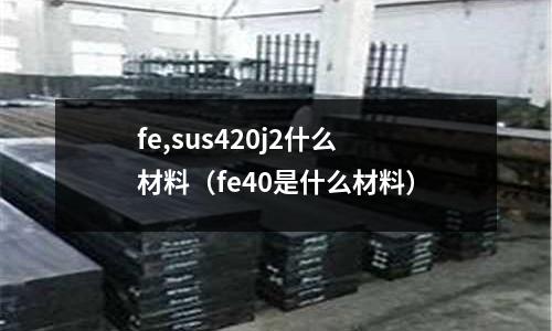 fe,sus420j2什么材料（fe40是什么材料）
