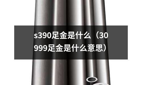 s390足金是什么（30999足金是什么意思）