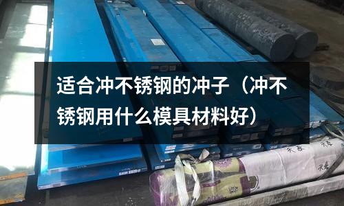 適合沖不銹鋼的沖子（沖不銹鋼用什么模具材料好）