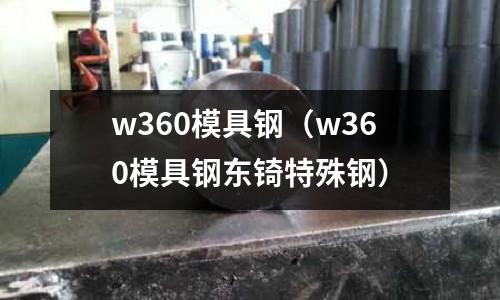w360模具鋼（w360模具鋼東锜特殊鋼）